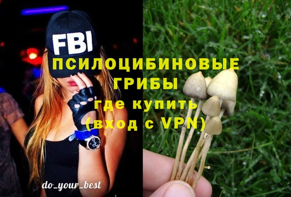 ПСИЛОЦИБИНОВЫЕ ГРИБЫ Касимов