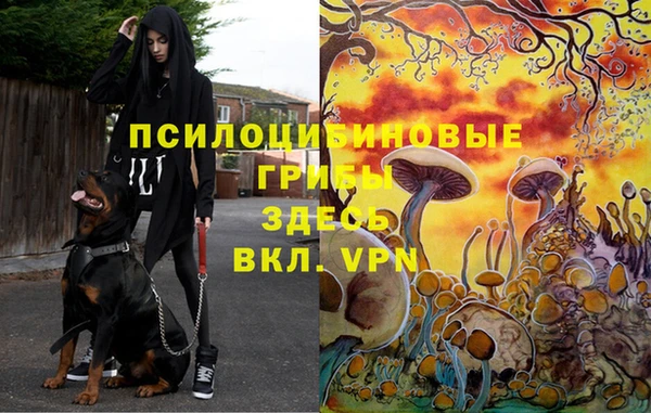 трава Карталы