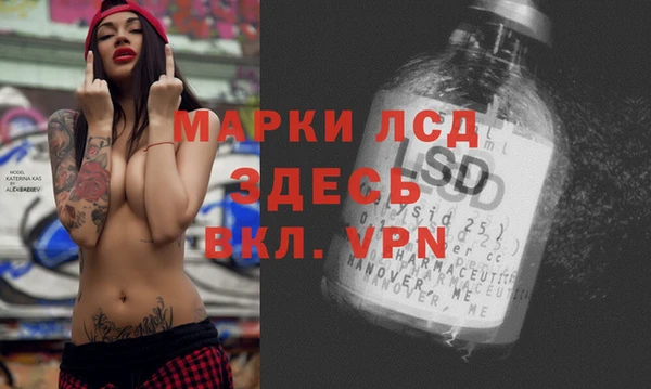 ПСИЛОЦИБИНОВЫЕ ГРИБЫ Касимов