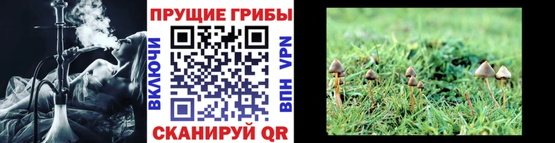 Галлюциногенные грибы мухоморы  Купить закладки  Верея 